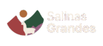 salinasgrandes.org